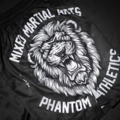 Fightshorts EVO Lionheart -Boxing Bargain Shop Phantom Athletics EVO MMA Shorts Lionheart 5