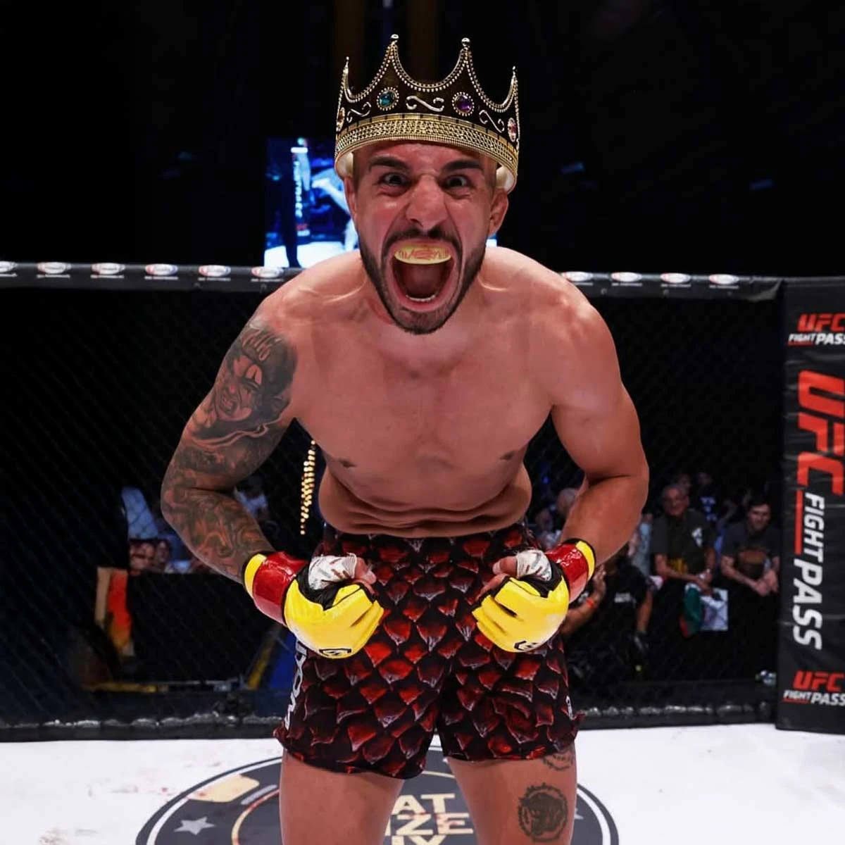 Fightshorts FUSION Red Dragon 6 Fightshorts FUSION Red Dragon - Image 4