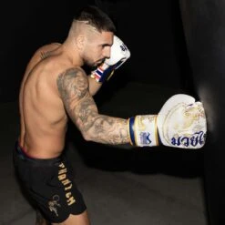 Fightshorts FUSION-R Tiger Domination 24 Fightshorts FUSION-R Tiger Domination -Boxing Bargain Shop Phantom Athletics MMA Fightshorts FUSION Tiger World Domiantions black 3