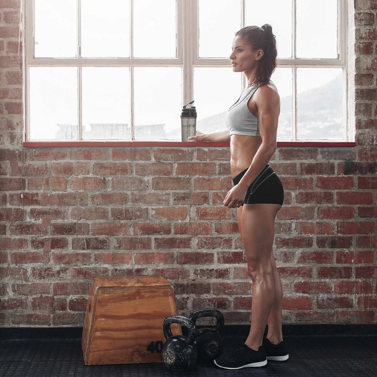 Boxing Bargain Shop -Boxing Bargain Shop Phantom Athletics Shaker Fitness Kick